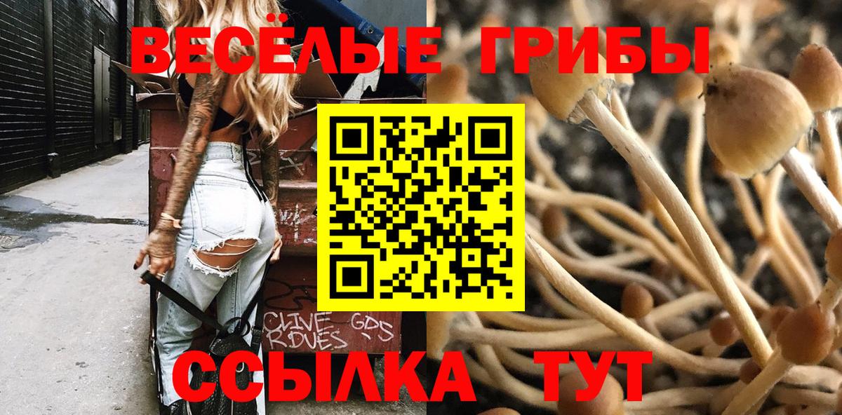 где можно купить   Вход с VPN  Александров  Галлюциногенные грибы мухоморы 