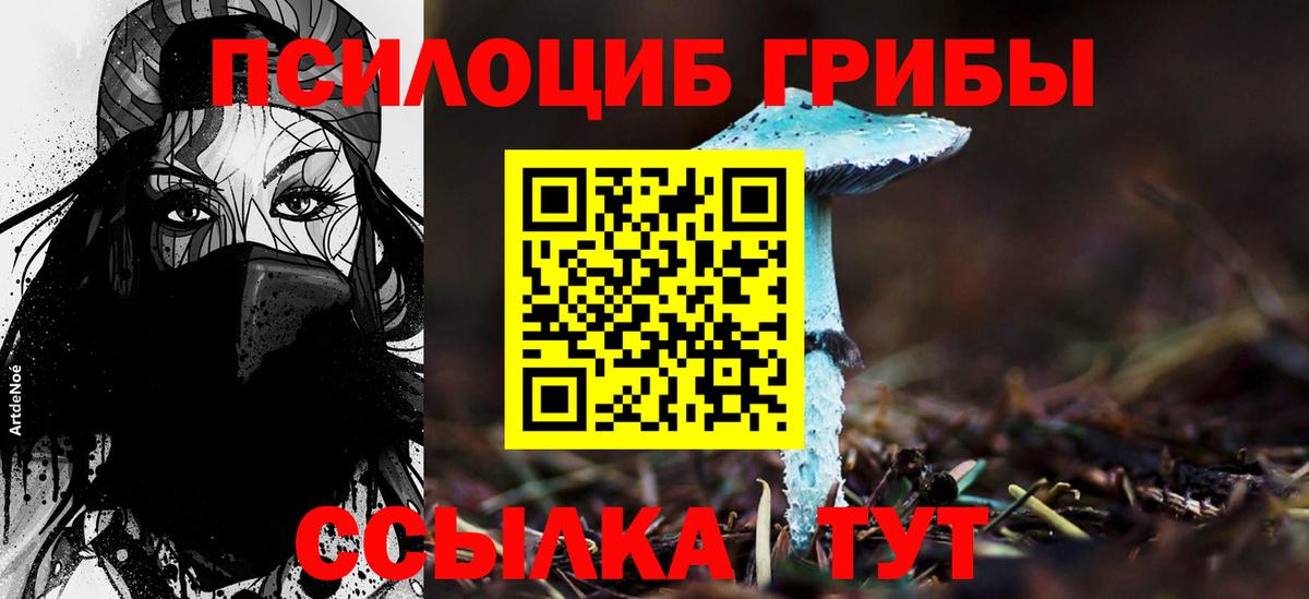 Галлюциногенные грибы ЛСД Александров